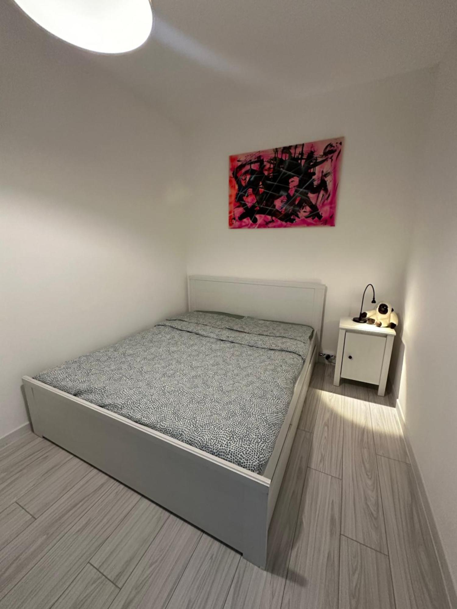 B&B Luna Rosa Pisa Bagian luar foto